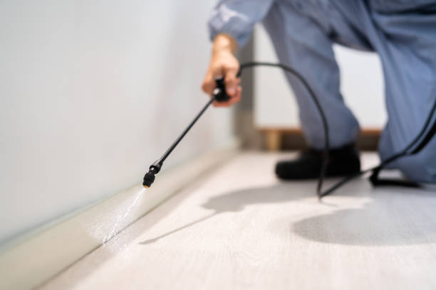 Certified termite inspector examining foundation in West Mifflin