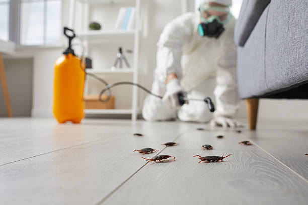 Commercial Kitchen Cockroach Control in West Mifflin